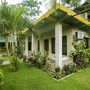 Sauraha Nana Hotel